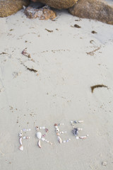 The word free, written with shells in the sand on a beach in thailand, koh samui