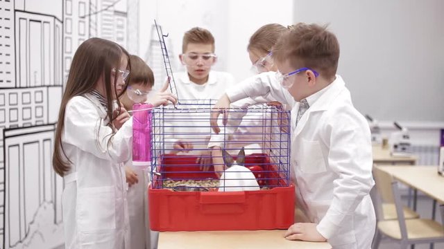 Children touch the rabbit in the biology lesson
