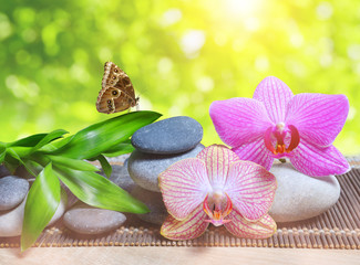 Obraz na płótnie Canvas Zen pebbles with bamboo leaves and orchid flowers on table. Spa and healthcare concept.