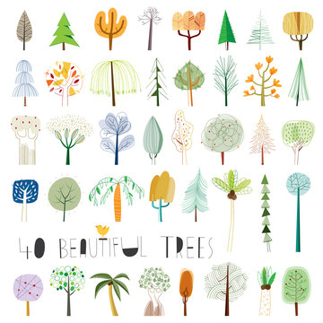 Vector tree illustration collection