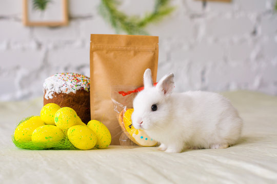 white bunny near Easter eggs and cake