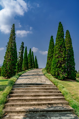 Concrete Pathway in garden