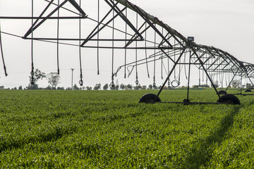 Hybrid mobile irrigation system