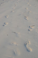 Pas dans le sable