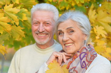 beautiful caucasian senior couple   in the park 