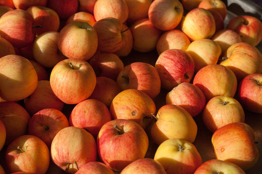 Close-up of stack of Gala apples at a market