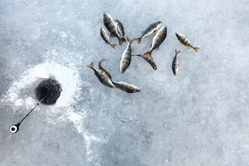 Ice fishing. Winter fishing