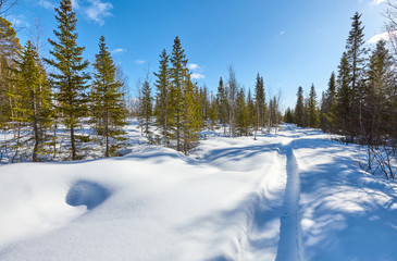 Quiet winter landscape.
