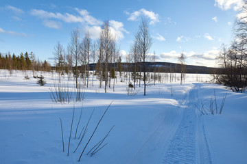 Quiet winter landscape.