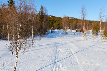 Quiet winter landscape.