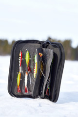 Fishing lures in case.