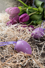 Fototapeta na wymiar Easter eggs and flower on wooden table. Spring concept on plank.