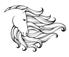 Linear stylized horse. Black and white graphic. Vector illustration can be used as design for tattoo,t-shirt,bag,poster, postcard.