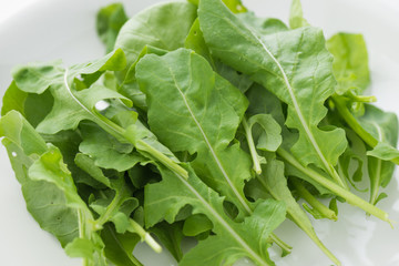 Rocket salad in white plate on isolated white background