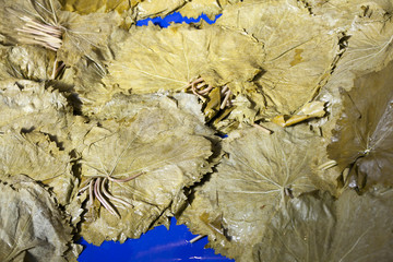 Grape leaves at The Spice Market