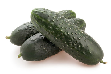cucumber
