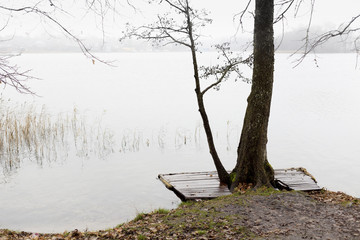 Small wet wooden pier fixed to the tree on Autumn foggy rainy day