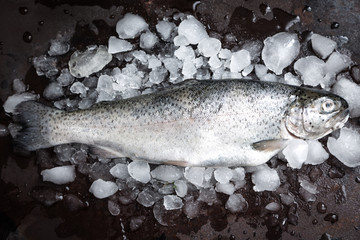 fresh fish. Trout with  lemon and spices on dark background. Cooking fish with herbs thyme.