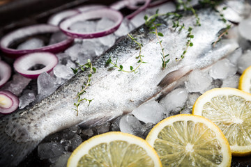 fresh fish. Trout with  lemon and spices on dark background. Cooking fish with herbs thyme.