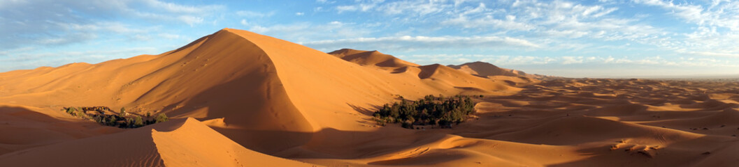 Fototapeta na wymiar Dune and oasises