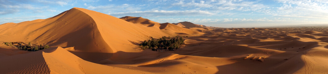 Fototapeta na wymiar Sand dune