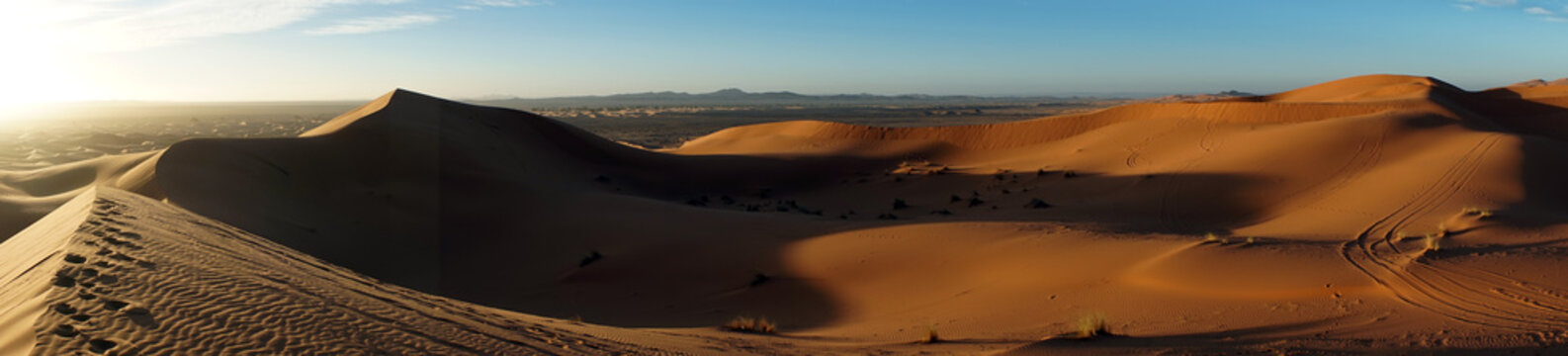 Morning in desert