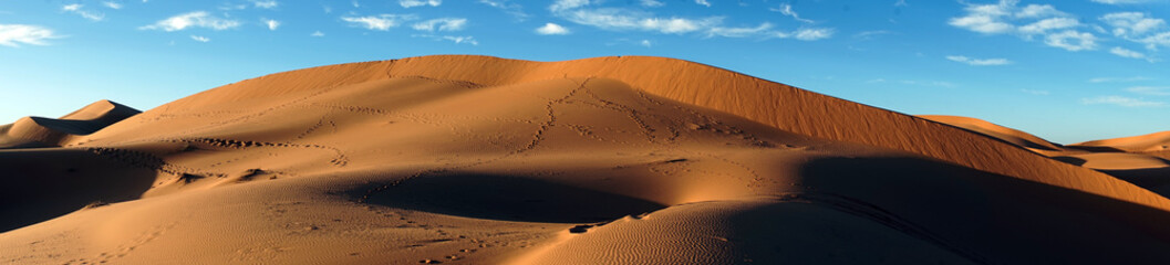 Fototapeta na wymiar Dunes in Sahara