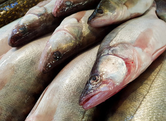 The Fish, a seafood.