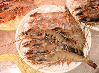 ブラックタイガー