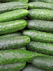 Cucumbers food texture a top view.