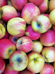 apples texture of food.