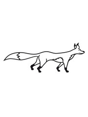 fuchs schön design cool comic cartoon clipart logo tier wald