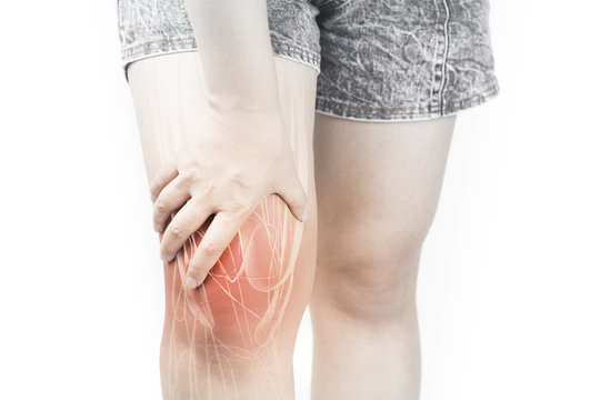 Knee muscle pain 