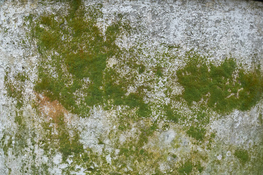 Fototapeta tekstura, mech, mur, abstract, tlo fotograficzne, stary mur, deseń, brudny, vintage, chropowaty, nawierzchnia plastyczna, , antyczne, tekstura, braun, beton, cement, retro, kamienie, farba, brudny, 