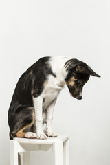 Übungen im Studio vor weissem Hintergrund