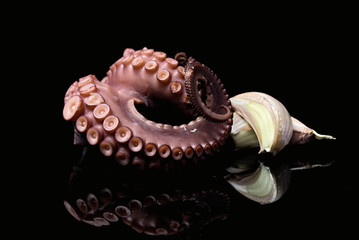 Krake Octopus Seafood