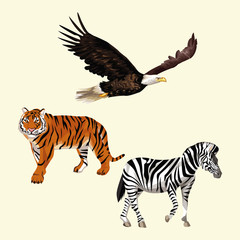 Wild animals colorful drawing vector illustration graphic design