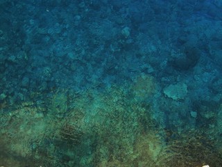 Sea Water From Above