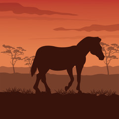 Zebra silhouette on twilight vector illustration graphic design