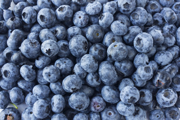 Fresh Blueberry Background. Texture blueberry berries close up