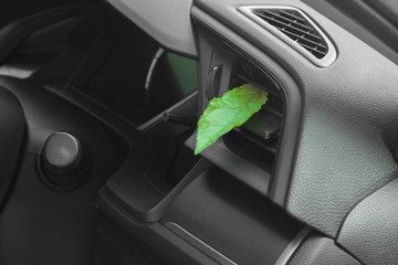 Green leaf in the car air. Clean air conditioning.Health-care concept.