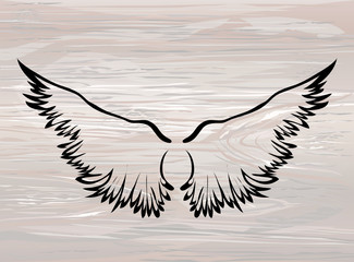 Wings. Vector illustration on wooden background. Black and white