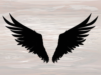Wings. Vector illustration on wooden background. Black and white