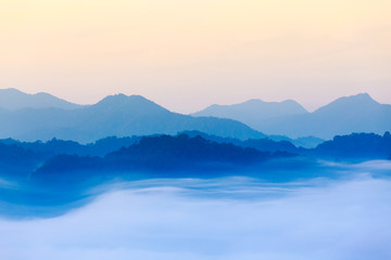 morning fog in dense tropical rainforest, kaeng krachan, thailand