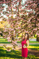 Portrait of Young girl posing for a photo. Flowering pink trees in the background. Spring. Sakura