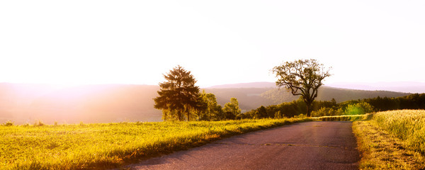 panorama mit Feldern und Straße oder Wanderweg bei Sonnenaufgang