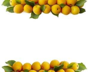 Ripe apricots at border of image with copy space for text. Fruit on white background. Top view