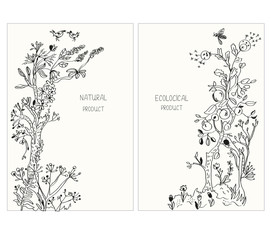 Label or stickers for ecological products with flowers and plants, vector graphic illustration, sketchy style