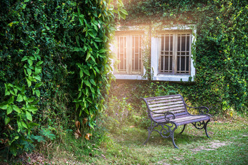 White window in house covered with green ivy and wood bench in green field.