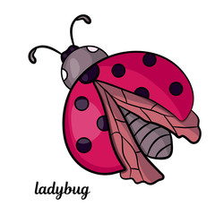 Cartoon Ladybug.Red insect.The